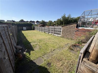 Picture 23